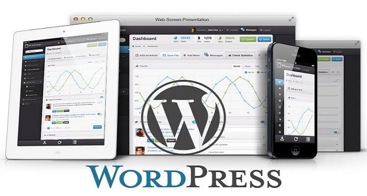 Why You Should Not Use a Free WordPress Theme