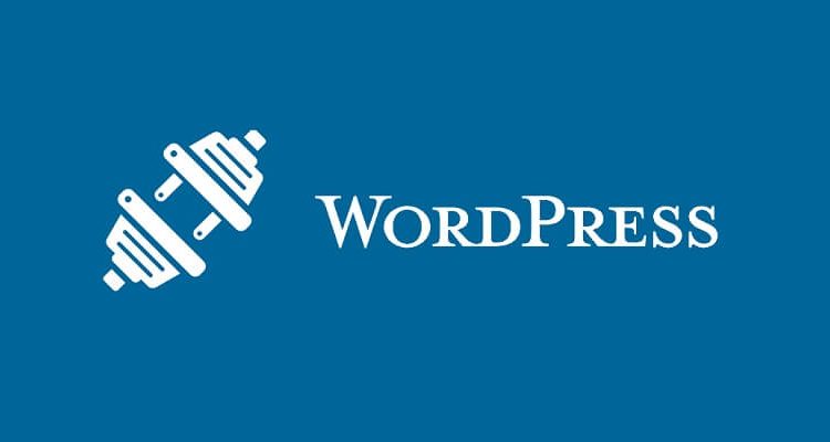 What are Plugins in WordPress