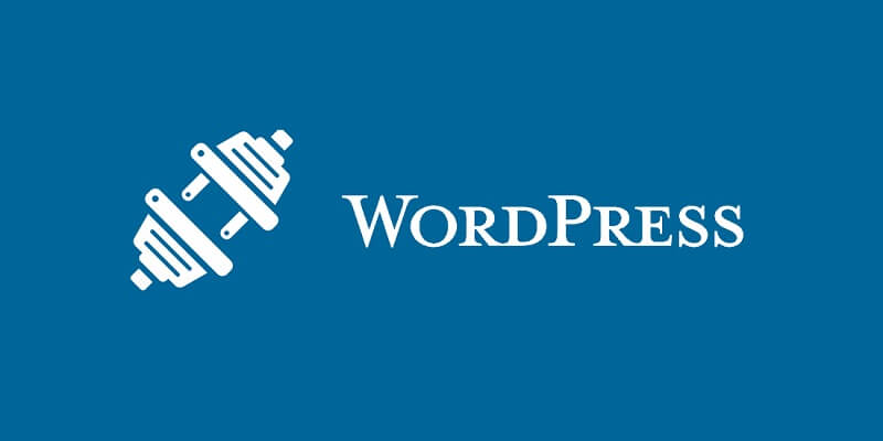 What are Plugins in WordPress