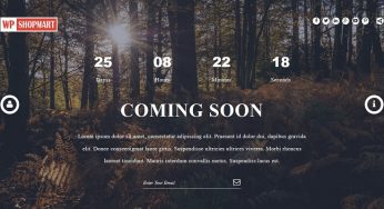Top five Maintenance Mode WordPress Plugins 2024