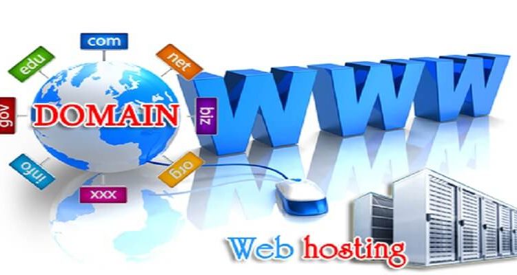 Which Type of Hosting is Best for WordPress Sites