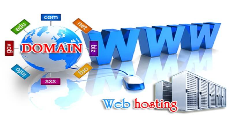 Which Type of Hosting is Best for WordPress Sites