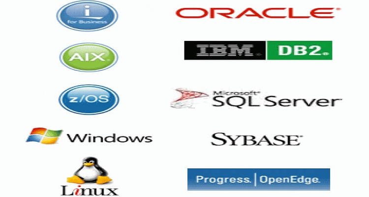 Top 10 Database Server software package Systems