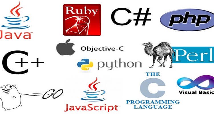 The 10 Best Programming Languages