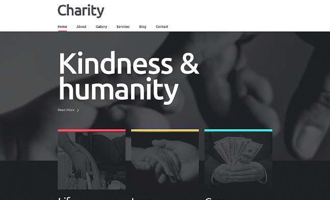 charity: Best WordPress Non Profit Themes