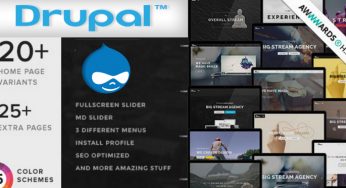 20 Best Responsive Drupal Themes of 2024