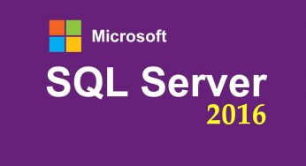 Know what is new in MS SQL Server 2024?