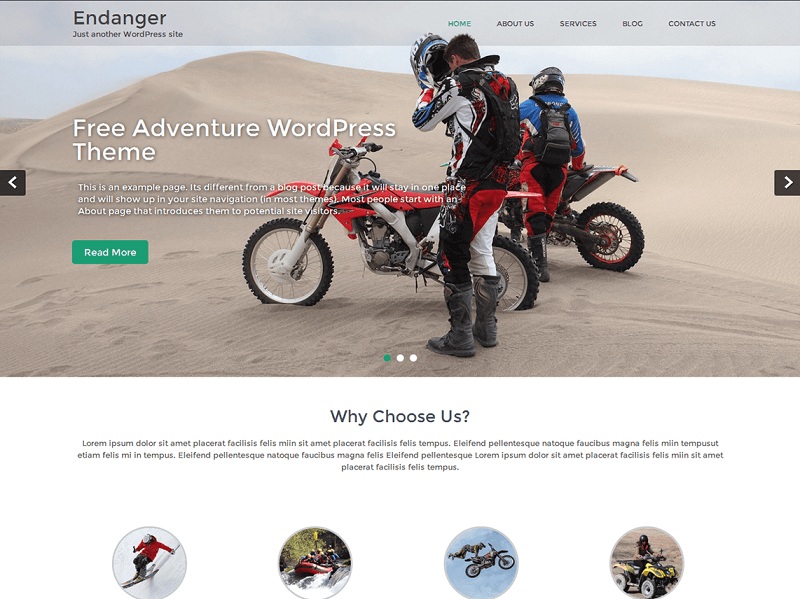 Endanger Free Sports WordPress Themes