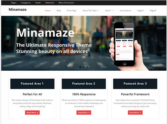 Free Popular WordPress Themes