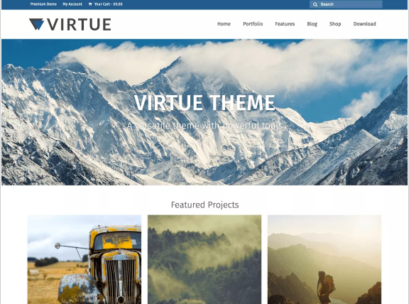 Free Popular WordPress Themes