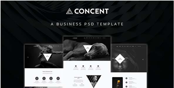 CONCENT: Best Photography PSD Website Templates