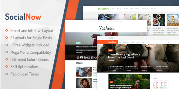 SocialNow Best WordPress Personal Blog Themes