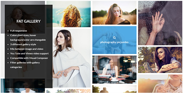 fat Best Premium WordPress Gallery Plugins wpshopmart