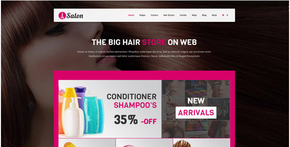 salon Best WordPress Spa and Hair Saloon Themes