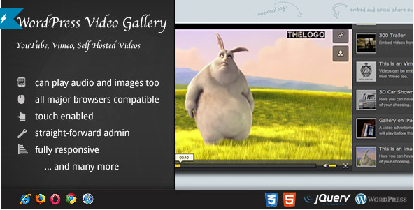 video gallery