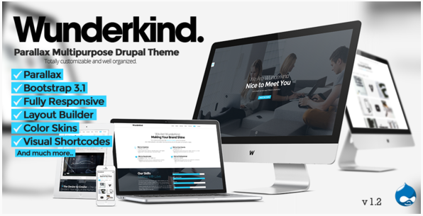 Wunderkind: Best One Page Drupal Themes