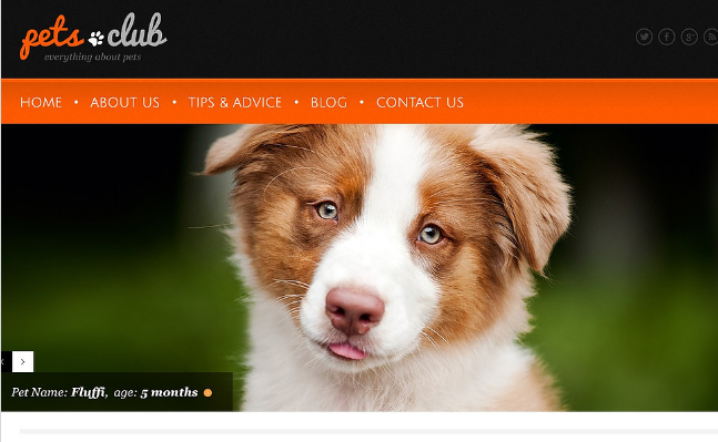 Animals WordPress Themes