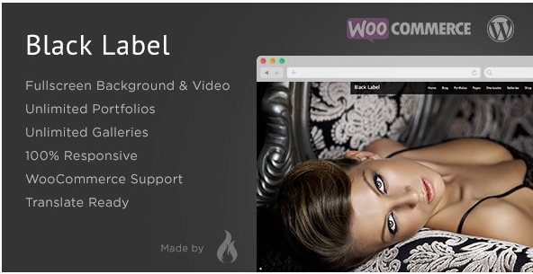 Black Label - Best Videos WordPress Themes