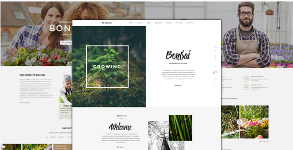 Bonsai - PSD Template for Landscapers & Gardeners