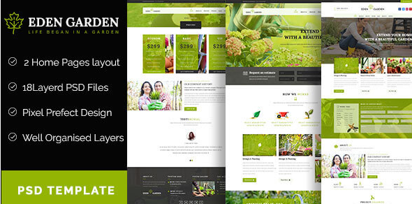 Eden Garden: Best Pharmacy PSD Templates