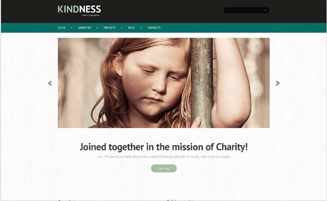 KINDNESS: Non Profit PHP Themes And Templates