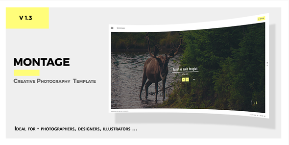 Montage: Best Photography Html Templates