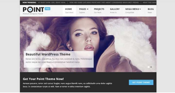 POINT PRO: Insurance WordPress Themes