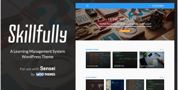 Skillfully: Popular Premium WordPress Themes