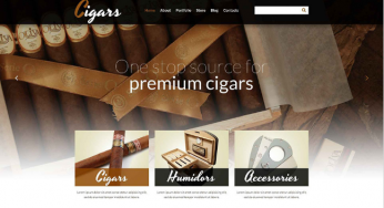 29+ Best Business WooCommerce Themes 2024