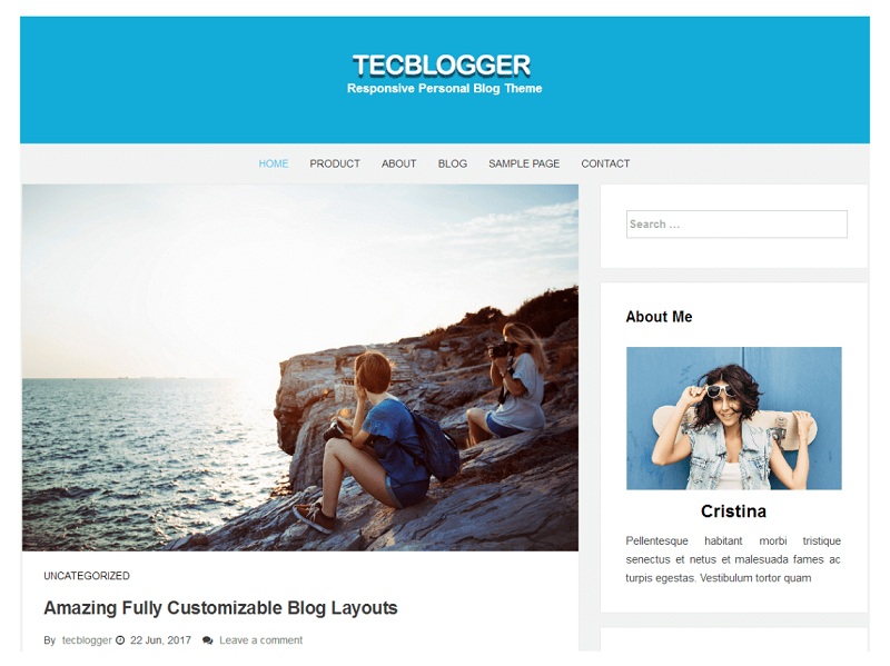 Free Blog WordPress Themes