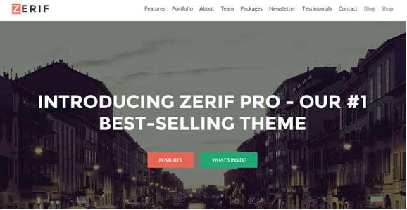 ZERIF PRO: Insurance WordPress Themes