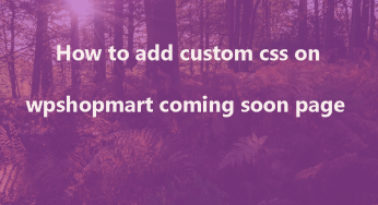 How To add custom CSS in Wpshopmart coming soon pro plugin