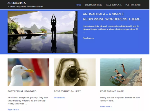 3 Column WordPress Themes