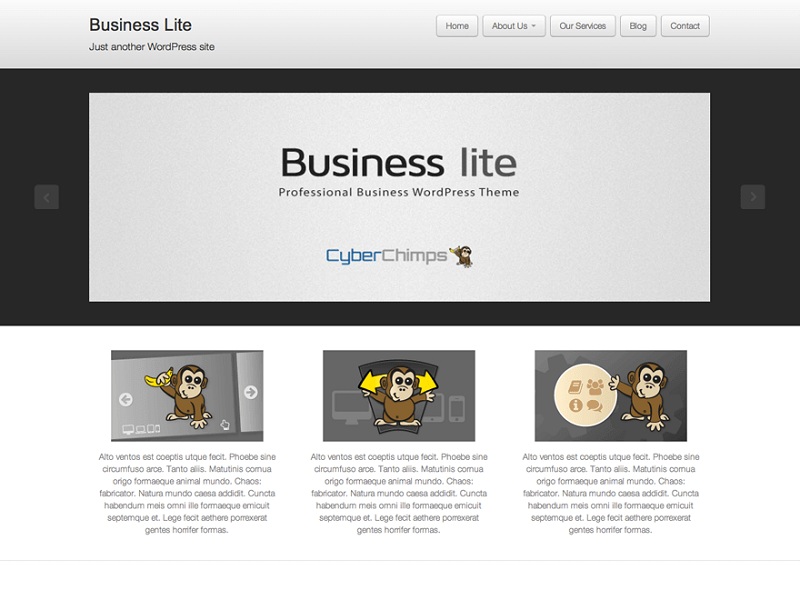 Business lite