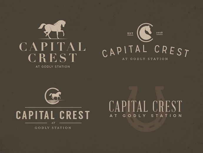 Capital Crest – Logos by Tyler Merritt