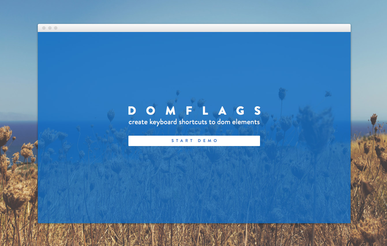 DomFlags