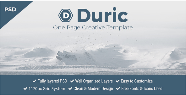 Duric - One Page PSD Template