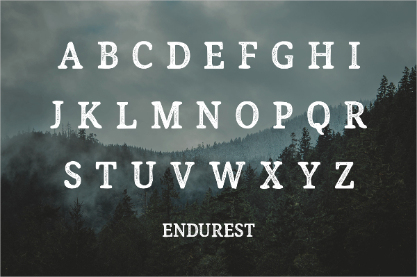 15+ Best Typography Fonts 2016