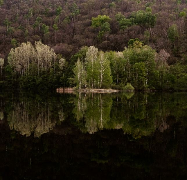 Green-Reflection