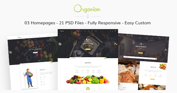 Organian - Multiconcept Organic Store PSD Template