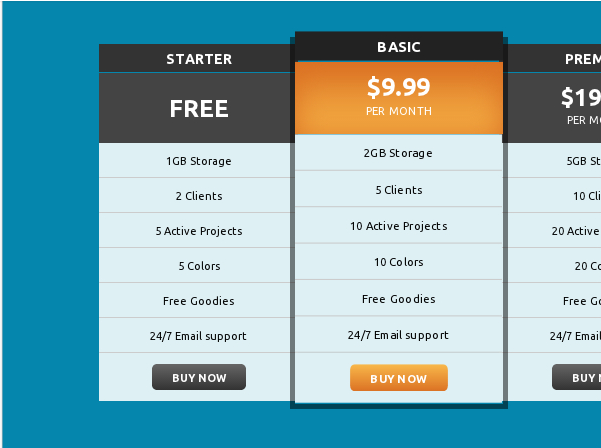 RESPONSIVE PRICING TABLE