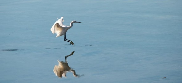 Reflections, reflejos, reflexos