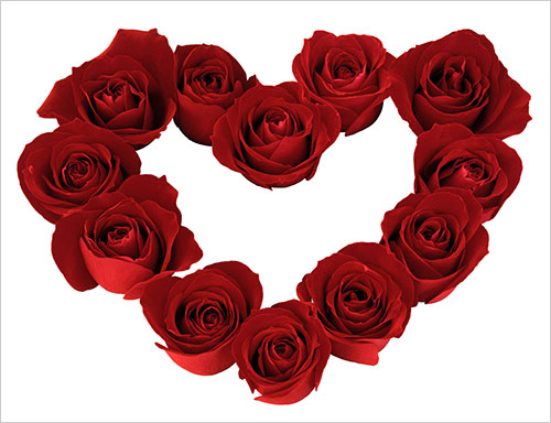 Rose-Heart-Background-Image