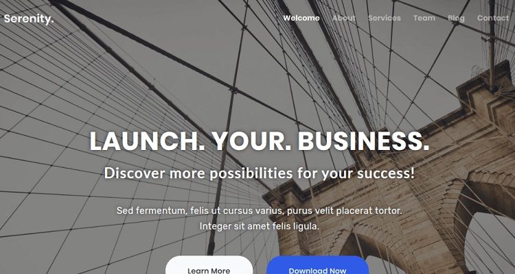 Free Business WordPress Themes