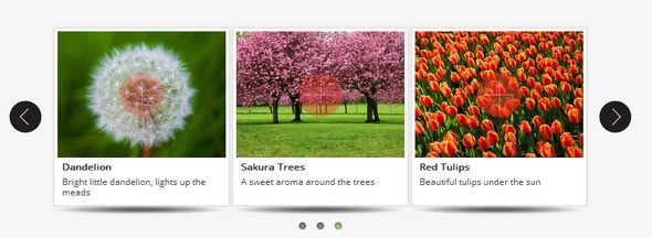 amazing-carousel Best jQuery Carousel Plugins