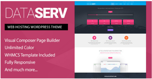 Dataserv: Best WordPress Technology Themes