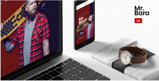 Mr. Bara: eCommerce Website Templates