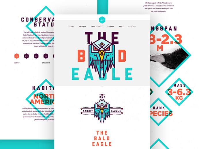 Bald Eagle Landing Page by Studio–JQ