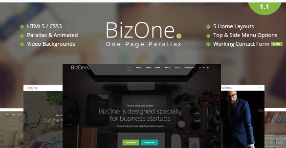 BizOne - One Page Parallax