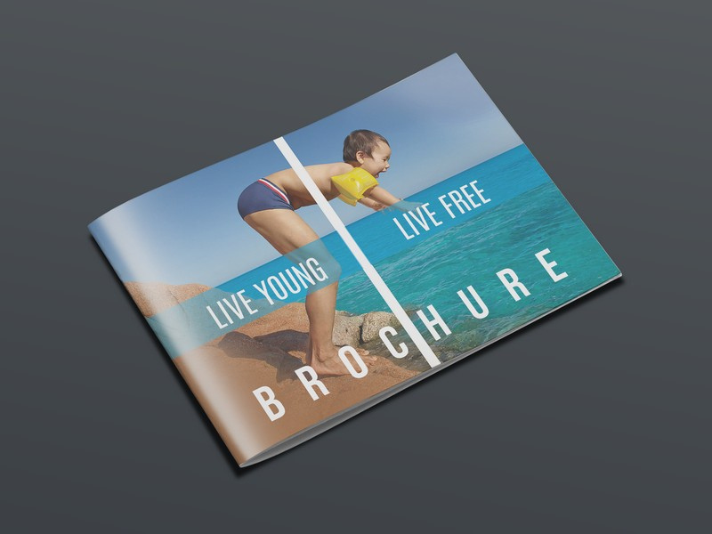 Brilliant-Landscape-Brochure-